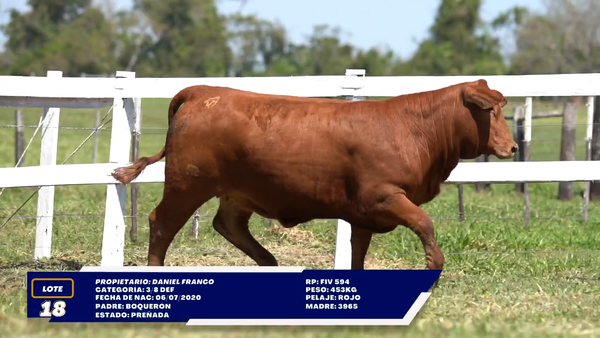 Lote LOTE 18