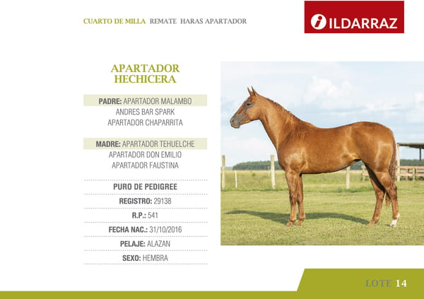Lote APARTADOR HECHICERA