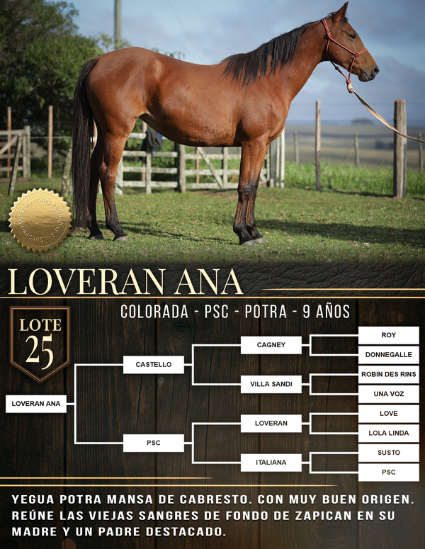 Lote LOVERAN ANA