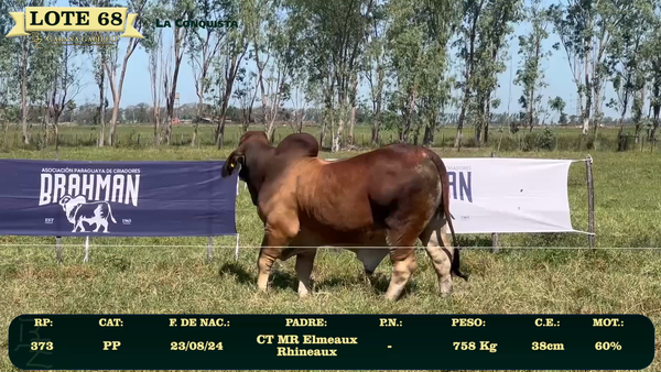 Lote LOTE 68