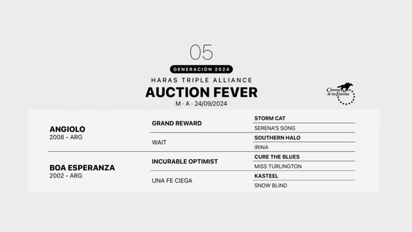 Lote AUCTION FEVER
