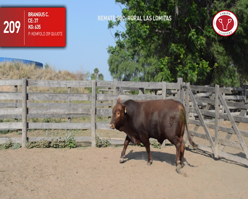 Lote CABAÑA "LA SEVERA" RP209