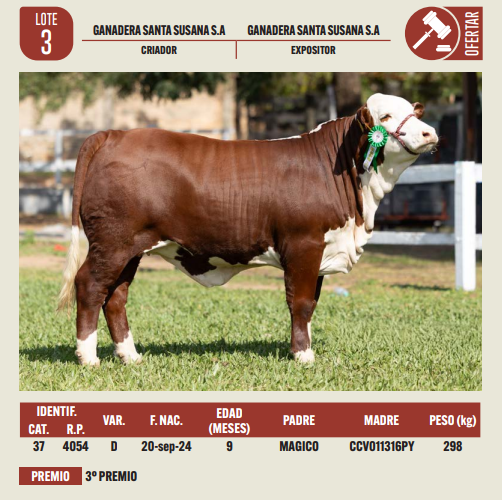 Lote LOTE 3