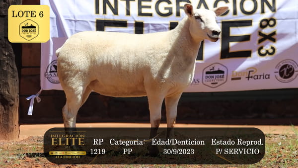 Lote LOTE 6