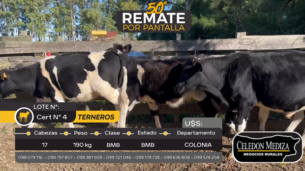 Lote 17 Terneros en Otra Localidad, Colonia