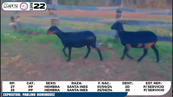 Lote LOTE 22