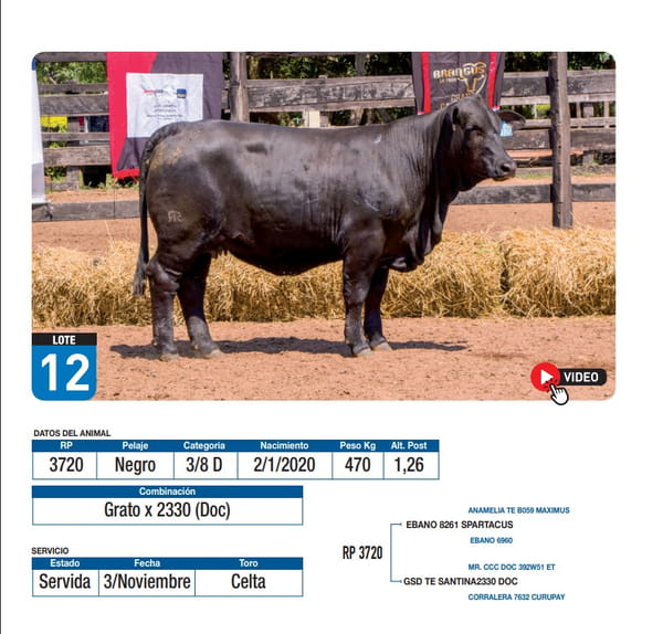 Lote Grato x 2330 (Doc)
