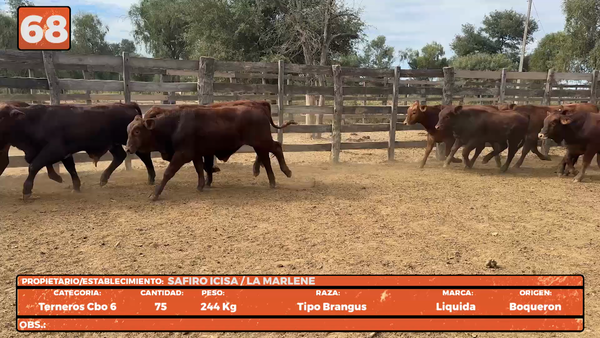 Lote LOTE 68
