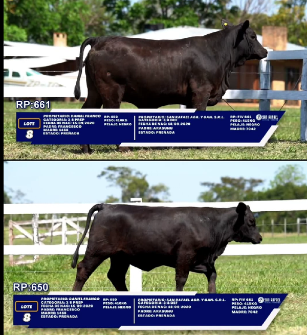 Lote LOTE 8- DUO