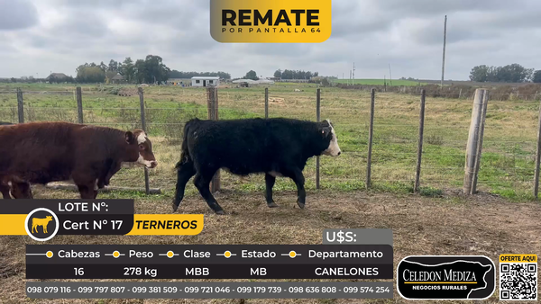 Lote 16 Terneros en ruta 33 a 5 km de ruta 11, Canelón Chico Canelones