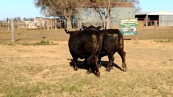 Lote CABAÑA LA MARICEL