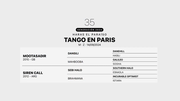 Lote TANGO EN PARIS