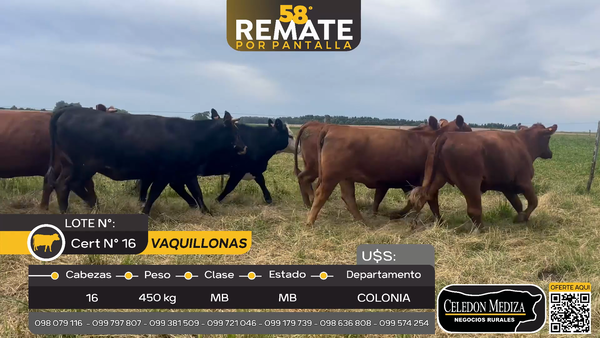 Lote 16 Vaquillonas  en Otra Localidad, Colonia