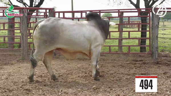 Lote Brahman