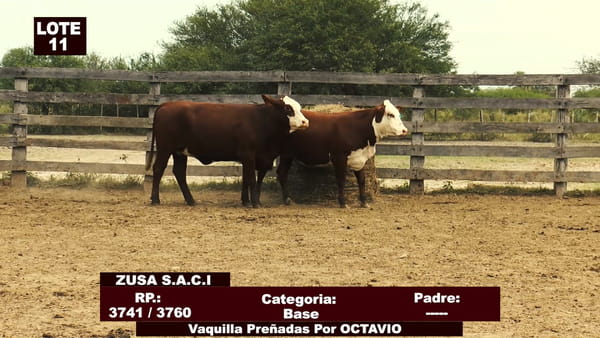Lote Cabañas de Tradición - Lote 11