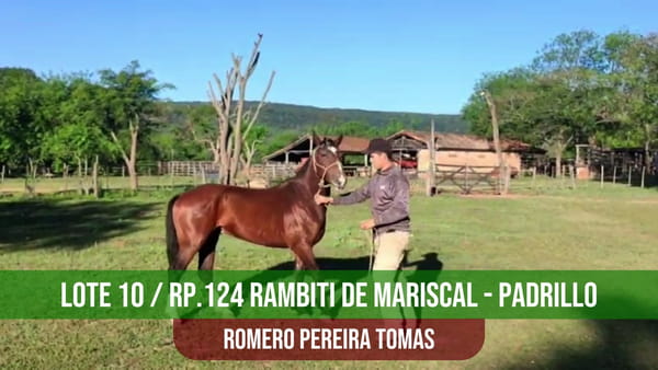 Lote TRP RAIMBITI DE MARISCAL