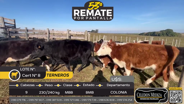 Lote 9 Terneros en Otra Localidad, Colonia