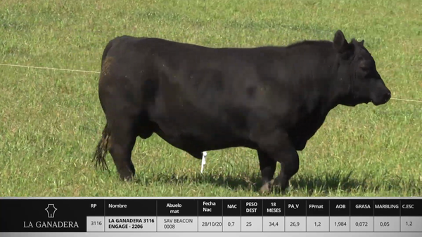 Lote LA GANADERA 3116 ENGAGE - 2206