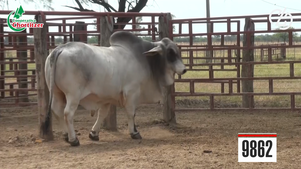 Lote Brahman
