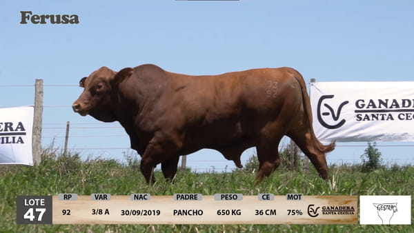 Lote Ganadera Santa Cecilia - Lote 47