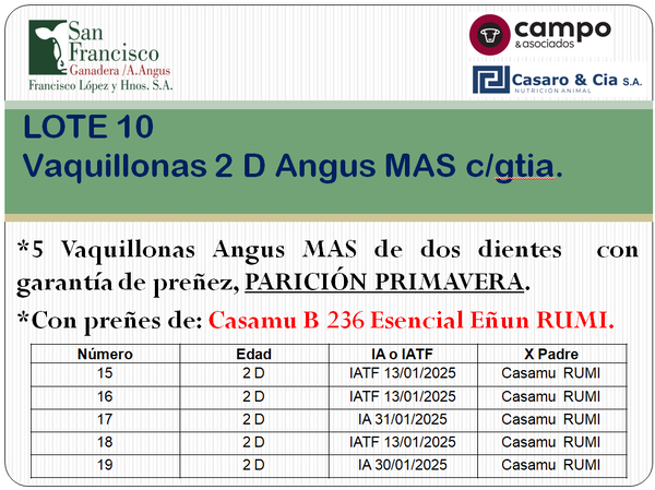 Lote 5 Vaquillonas Angus MaS con garantía de preñez, al parir San Francisco