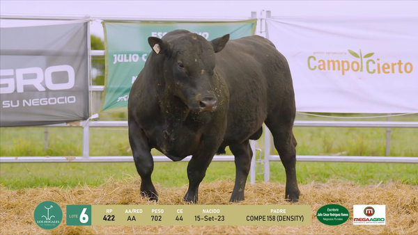 Lote 3 Toros, Flores