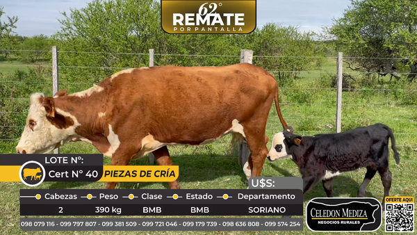 Lote 2 Piezas de cría en Agraciada, Soriano