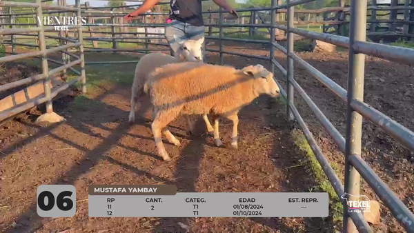 Lote LOTE 6