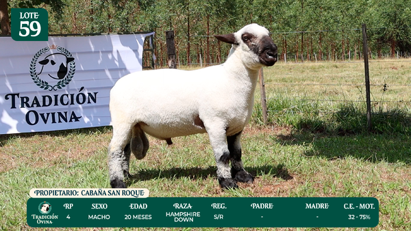 Lote LOTE 59