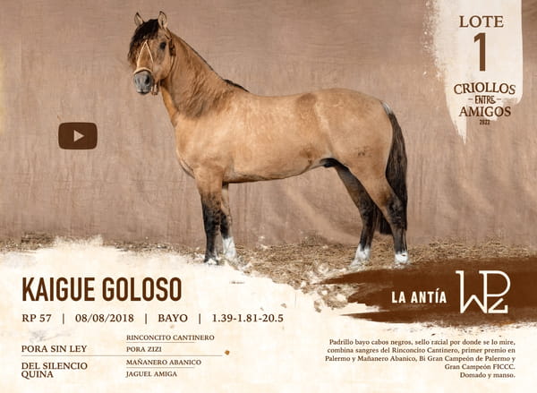 Lote KAIGUE GOLOSO RP 57