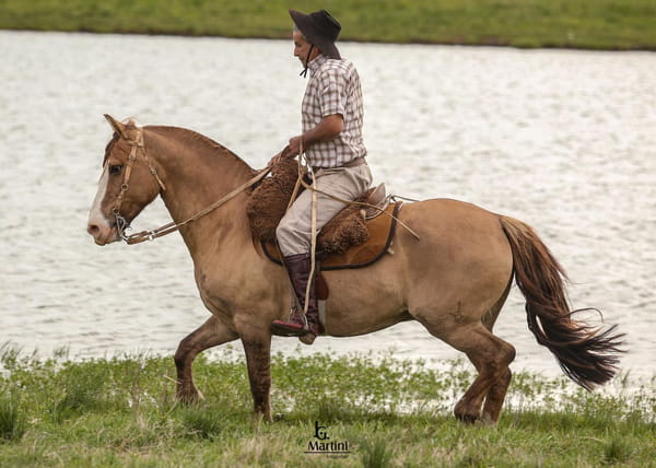 Lote Recuerdo Caraguatá