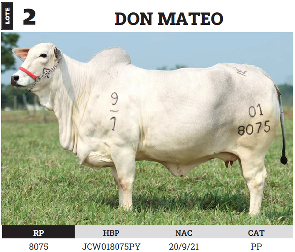 Lote LOTE 2 - PREÑECES