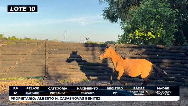 Lote LOTE 10