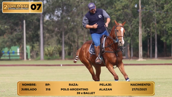 Lote LOTE 7