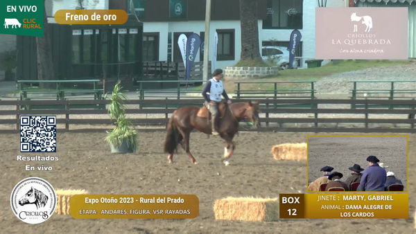 Lote DAMA ALEGRE DE LOS CARDOS - BERRUTTI, MARCELO