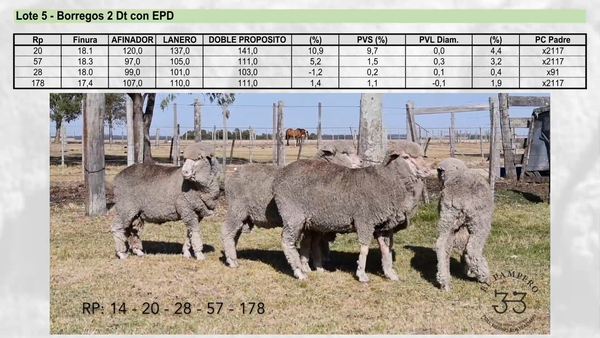 Lote Lote 5 - EL PAMPERO