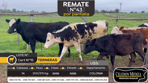 Lote 14 Terneras en Tarariras, Colonia