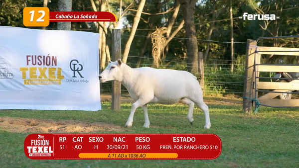 Lote LOTE 12