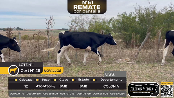 Lote 12 Novillos  a 15 km de Cardona y 7 km de ruta 12, en Larrañaga, Colonia