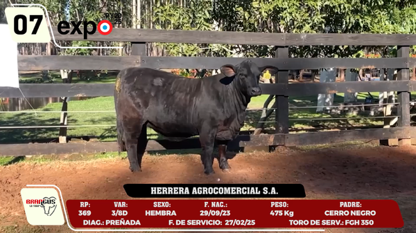 Lote LOTE 7