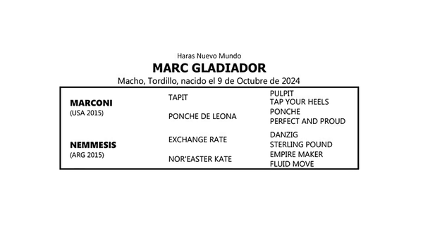 Lote MARC GLADIADOR