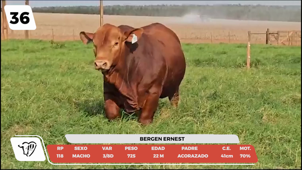 Lote LOTE 36-DE CAMPO