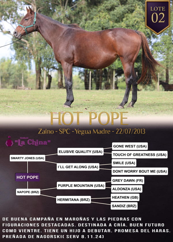 Lote HOT POPE