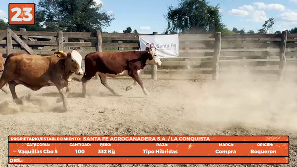 Lote LOTE 23
