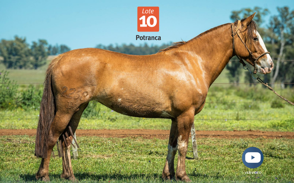 Lote DEL SILENCIO LLUVIA
