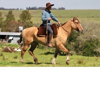 Lote SANTA GLORIA ROLDANA