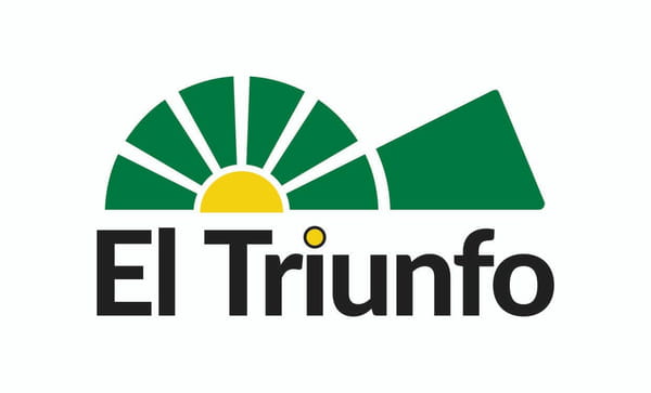 Lote VACA BR C/TERNERO BONSMARA