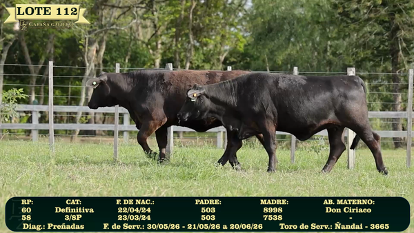 Lote LOTE 112
