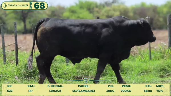 Lote LOTE 68