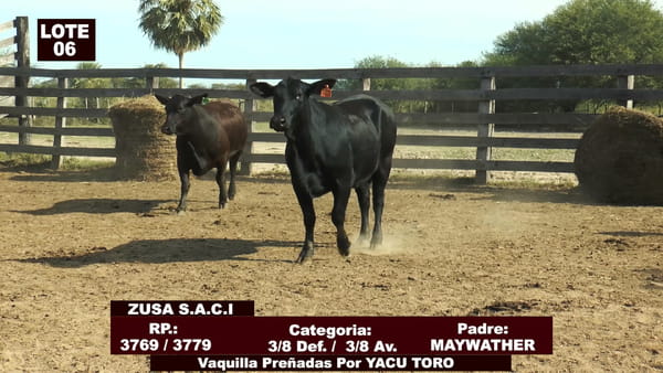 Lote Cabañas de Tradición - Lote 06